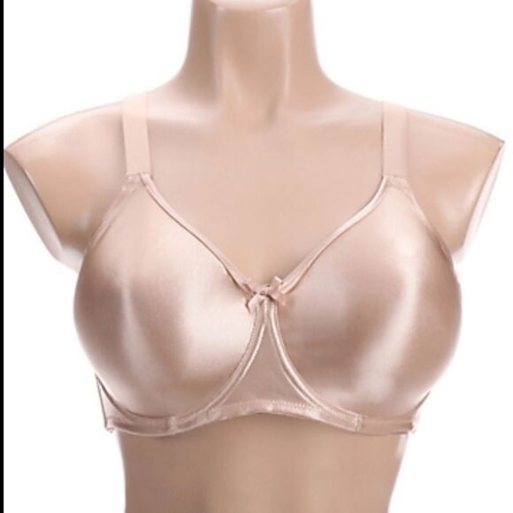 NWT Vá Bien Vintage Fit Minimizer Underwire T-Shirt Bra 605 size 40G nud… - Picture 1 of 10